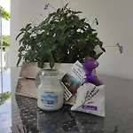 公寓 Jaska 苏佩塔斯卡德拉加